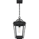 Quoizel - Darius Outdoor Pendant - Lights Canada