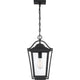 Quoizel - Darius Outdoor Pendant - Lights Canada
