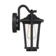 Quoizel - Darius Outdoor Wall Light - Lights Canada