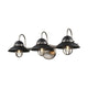 DVI - Peggy's Cove Vanity Light - Lights Canada
