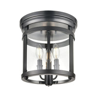 Niagara Special Edition 3 Light Flush Mount