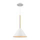 DVI - Lily 10 Inch Pendant - Lights Canada