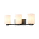 DVI - Manitou 3 Light Vanity - Lights Canada