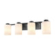 DVI - Manitou 4 Light Vanity - Lights Canada