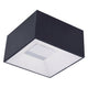 Collage LED Flush/Wall Mount