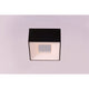 Collage LED Flush/Wall Mount