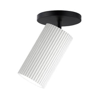 Pleat Flush/Wall Mount