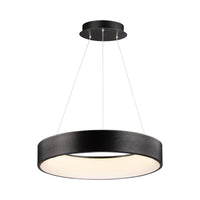 iQ WiZ 24" LED Pendant
