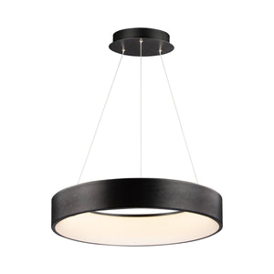 ET2 - iQ WiZ 24" LED Pendant - Lights Canada