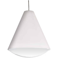 Pendants 1 Light 17 Inch Pendant