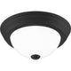 Quoizel - Erwin Flush Mount - Lights Canada