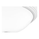 Quoizel - Erwin Flush Mount - Lights Canada