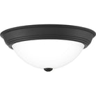 Quoizel - Erwin Flush Mount - Lights Canada