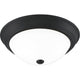 Quoizel - Erwin Flush Mount - Lights Canada