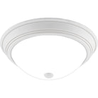Quoizel - Erwin Flush Mount - Lights Canada