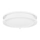 Quoizel - Euclid Semi Flush Mount - Lights Canada