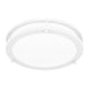 Quoizel - Euclid Semi Flush Mount - Lights Canada