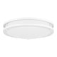 Quoizel - Euclid Semi Flush Mount - Lights Canada