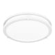 Quoizel - Euclid Semi Flush Mount - Lights Canada