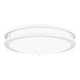 Quoizel - Euclid Semi Flush Mount - Lights Canada