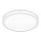 Quoizel - Euclid Semi Flush Mount - Lights Canada