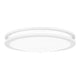 Quoizel - Euclid Semi Flush Mount - Lights Canada