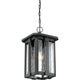 Quoizel - Everglade Outdoor Pendant - Lights Canada