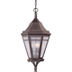 Troy - Morgan Hill Outdoor Pendant - Lights Canada