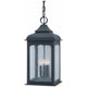 Troy - Henry Street Outdoor Pendant - Lights Canada