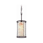 Troy - Catch N Release Mini Pendant - Lights Canada