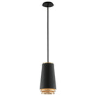 Troy - Fahrenheit Pendant - Lights Canada