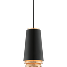 Troy - Fahrenheit Pendant - Lights Canada