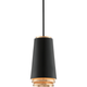 Troy - Fahrenheit Pendant - Lights Canada