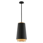 Troy - Fahrenheit Pendant - Lights Canada