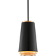 Troy - Fahrenheit Pendant - Lights Canada