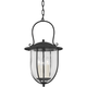Troy - Monterey County 3-Light Small Outdoor Pendant - Lights Canada