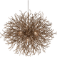 Troy - Sierra Chandelier - Lights Canada