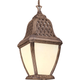 Troy - Biscayne 1-Light Outdoor Pendant - Lights Canada
