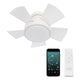 Vox Indoor/Outdoor 5-Blade 26" Smart Flush Mount Ceiling Fan with LED Light Kit and Remote Control