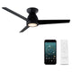 Modern Forms - Tip Top Indoor/Outdoor 3-Blade 44" Smart Flush Mount Ceiling Fan with LED Light Kit and Remote Control - Lights Canada