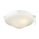 Savoy House - Crimson Fan Light Kit - Lights Canada