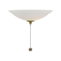 Fan Light Kit