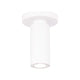 dweLED - Caliber 5" LED Outdoor Flush Mount - Lights Canada