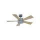 Modern Forms - Wynd Indoor/Outdoor 5-Blade 42" Smart Ceiling Fan with LED Light Kit and Remote Control - Lights Canada