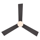 Modern Forms - Axis Indoor/Outdoor 3-Blade 52" Smart Ceiling Fan with LED Light Kit and Remote Control - Lights Canada