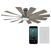 Windflower Indoor/Outdoor 12-Blade 60" Smart Ceiling Fan with LED Light Kit