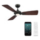 Modern Forms - Mykonos 3 Indoor/Outdoor 3-Blade 52" Smart Ceiling Fan with LED Light Kit and Remote Control - Lights Canada