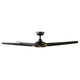 Modern Forms - Lucid Indoor/Outdoor 5-Blade 62" Smart Ceiling Fan with LED Light Kit and Remote Control - Lights Canada