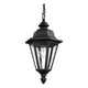 Generation Lighting - Brentwood One Light Outdoor Pendant (with Bulbs) - Lights Canada
