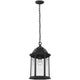 Generation Lighting - Sevier One Light Outdoor Pendant (with Bulbs) - Lights Canada
